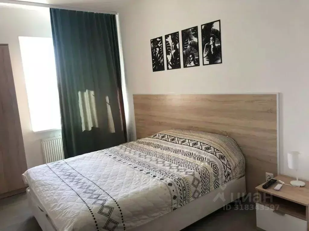 1-к кв. Ленинградская область, Никольское Тосненский район, ... - Фото 1