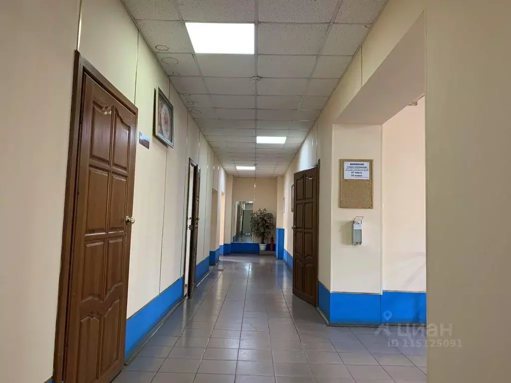 Офис в Тюменская область, Тюмень ул. Дружбы, 130 (38 м) - Фото 1