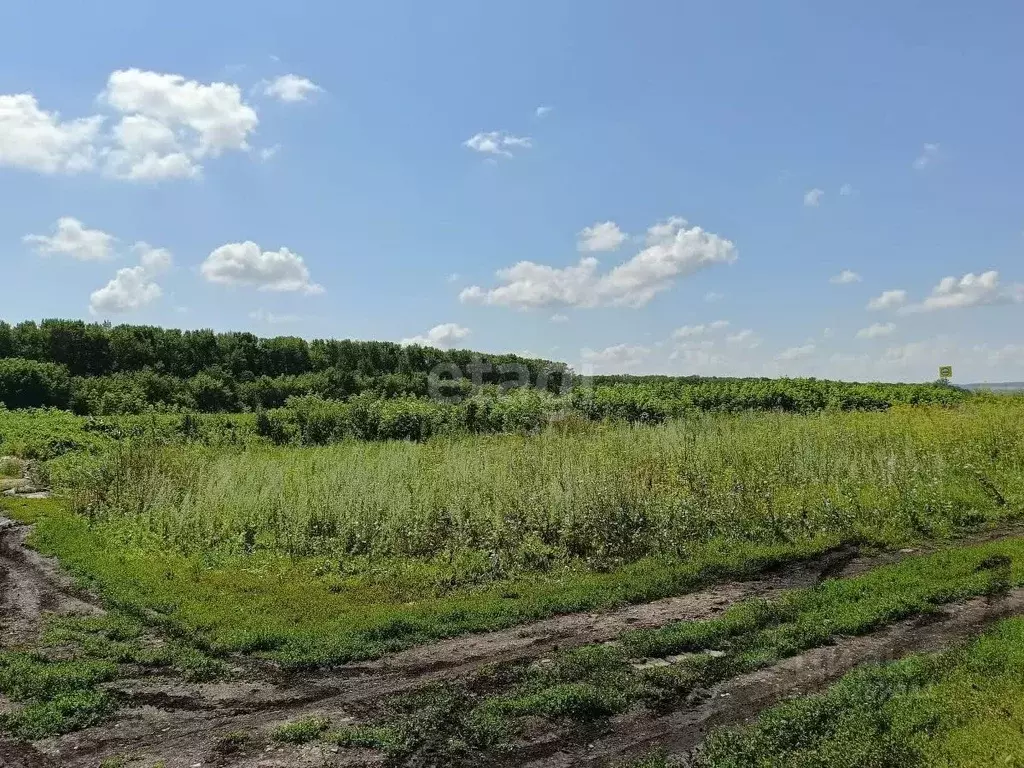 Участок в Башкортостан, Стерлитамакский район, д. Казадаевка, Любажи ... - Фото 1