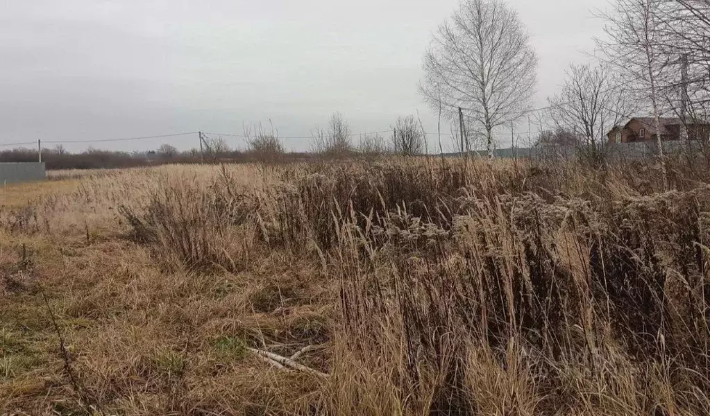 Участок в Московская область, Дмитровский муниципальный округ, д. ... - Фото 1