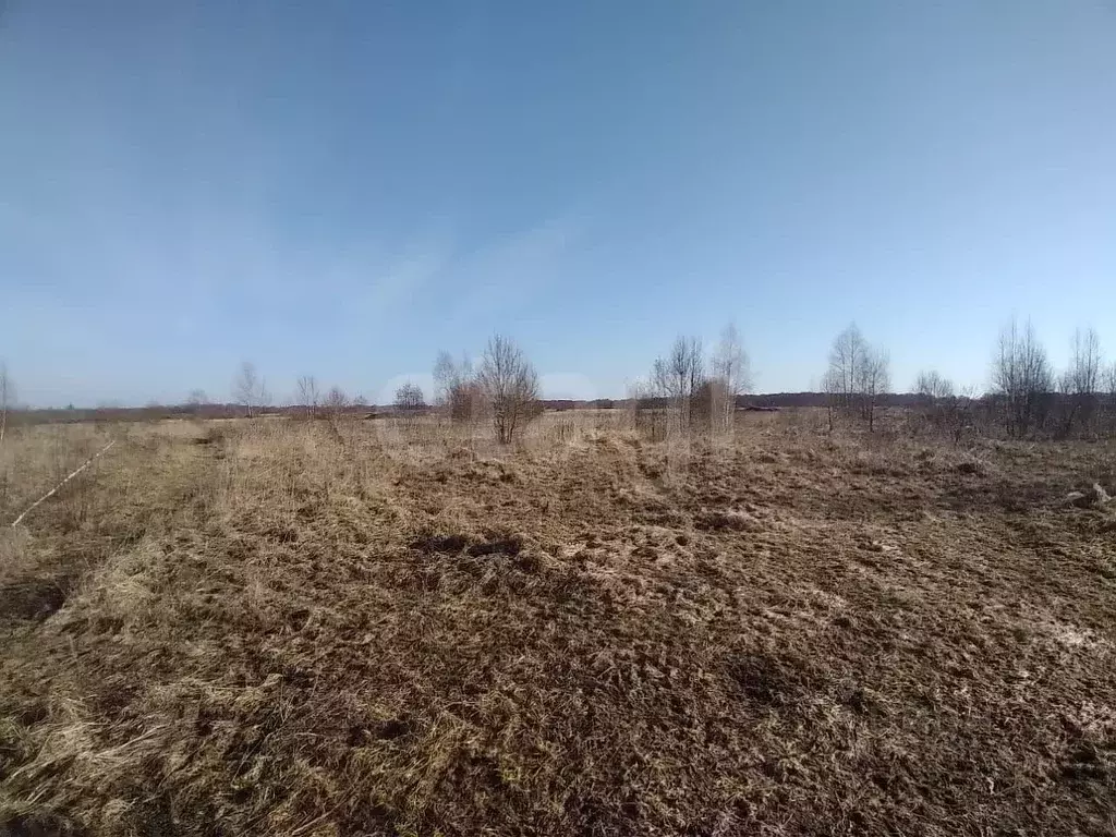 Участок в Псковская область, Печорский муниципальный округ, д. Усадище ... - Фото 1