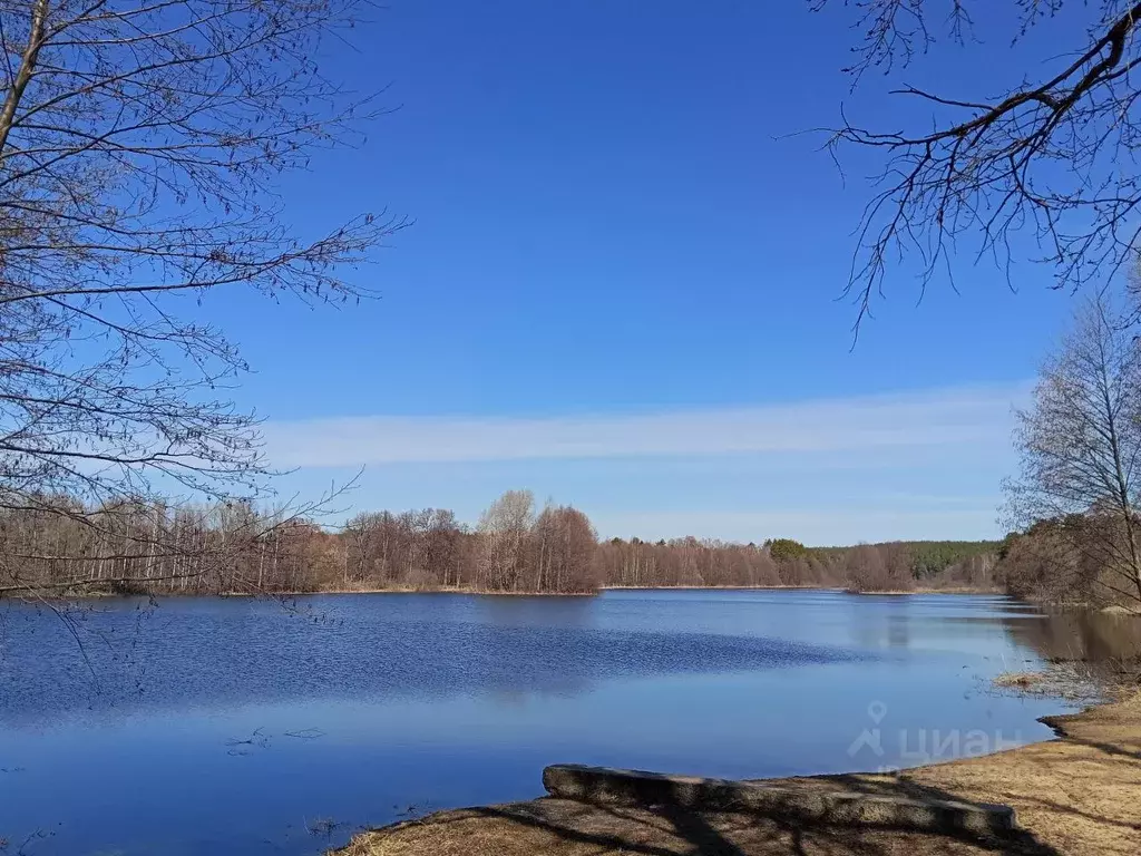 Участок в Марий Эл, Волжск ул. Тимирязева (8.0 сот.) - Фото 1
