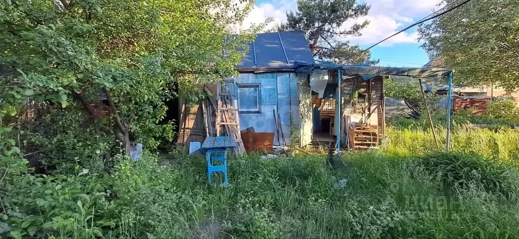 Дом в Саратовская область, Саратов Тюльпан СНТ,  (12 м) - Фото 2