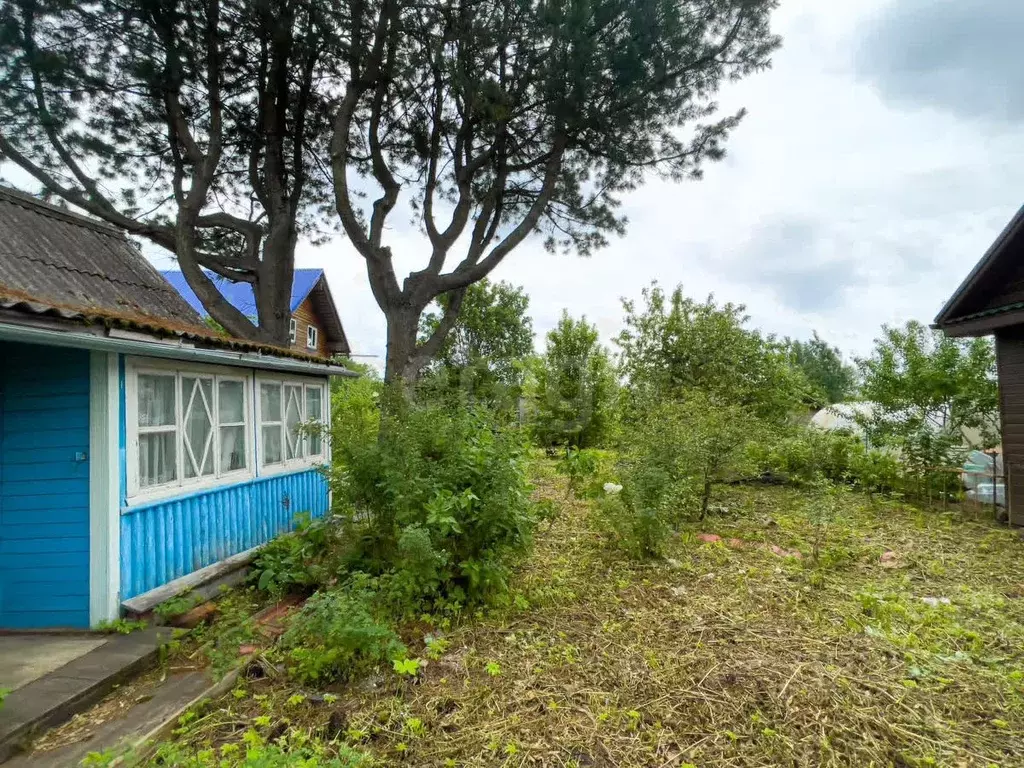 Дом в Вологодская область, Вологда Виктория садоводческое ... - Фото 1