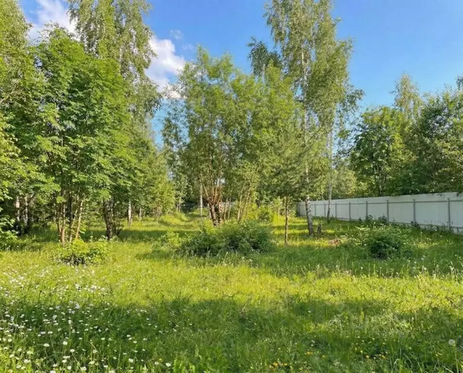 Участок в Московская область, Одинцовский городской округ, д. ... - Фото 0