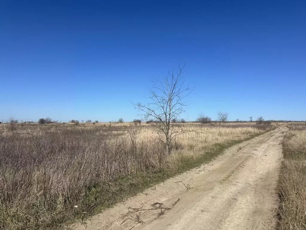 Участок в Краснодарский край, Анапа муниципальный округ, пос. ... - Фото 1