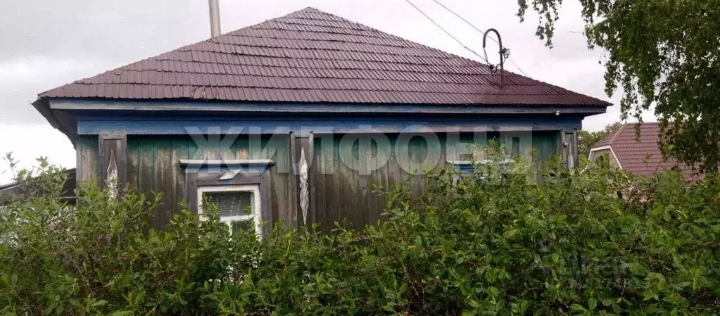 Дом в Алтайский край, Калманский район, с. Бураново Новая ул. (27 м) - Фото 1