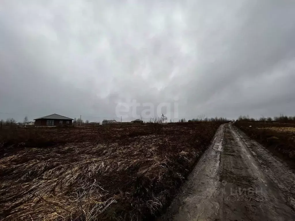 Участок в Брянская область, Брянский район, Отрадненское с/пос, с. ... - Фото 1