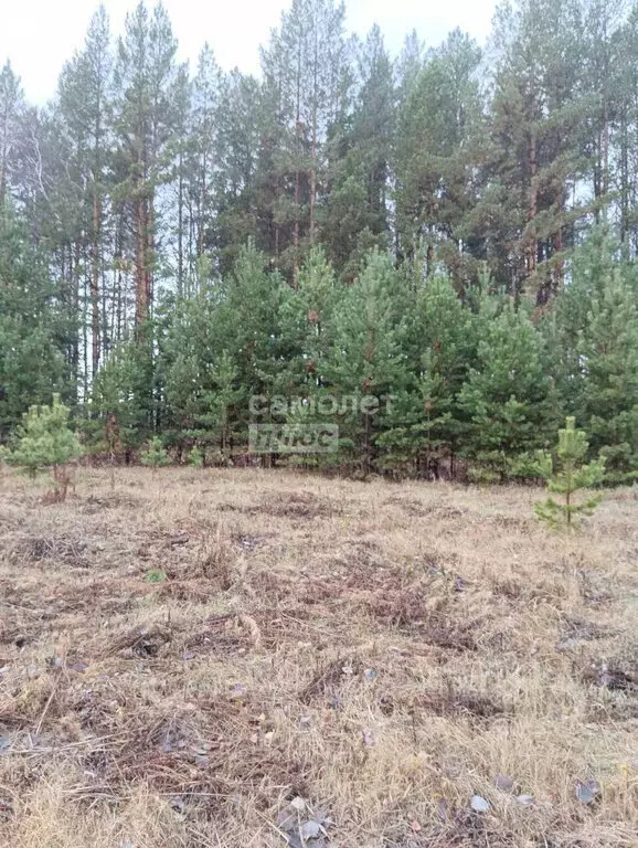 Участок в Нижнетавдинский район, село Тюнево (5 м) - Фото 1