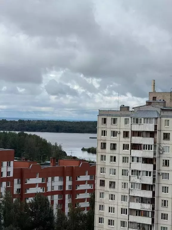 2-к кв. Санкт-Петербург Камышовая ул., 48К3 (57.0 м) - Фото 1