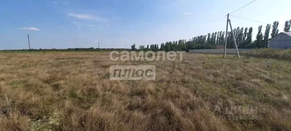 Участок в Воронежская область, Поворино Тенистая ул., 10 (15.0 сот.) - Фото 0