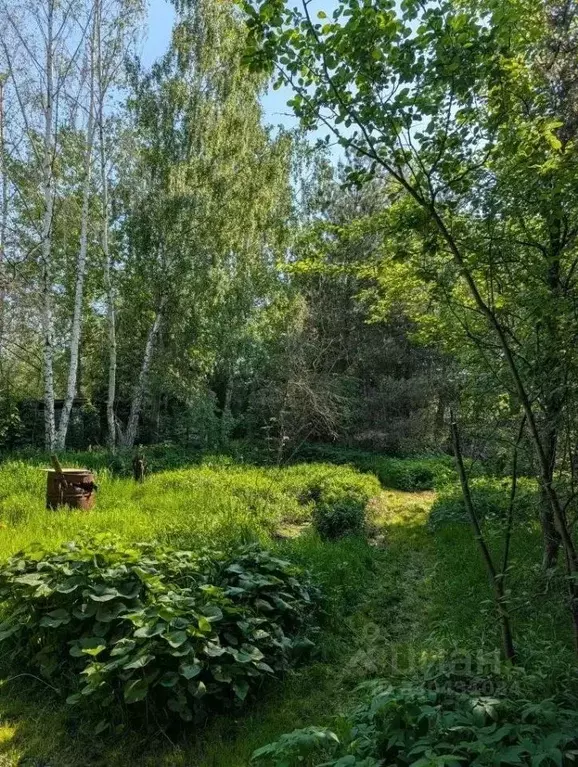 Участок в Московская область, Ленинский городской округ, пос. Мещерино ... - Фото 1