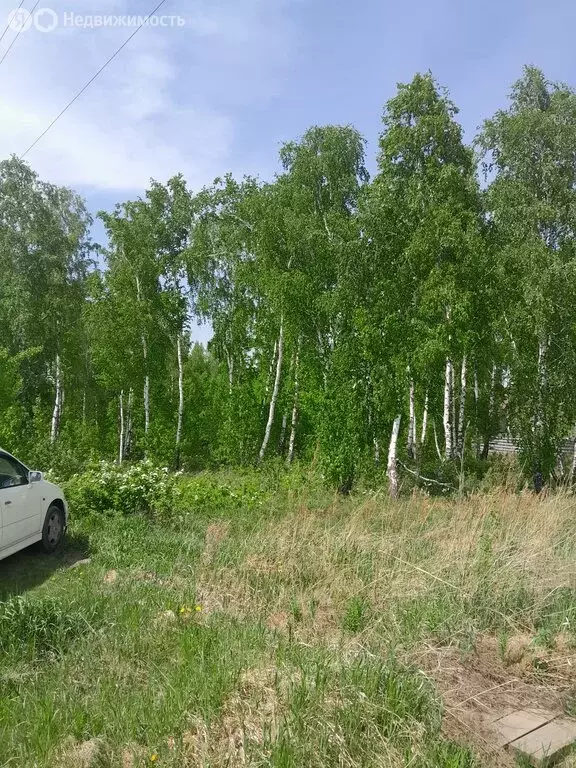 Дом в Красноярский край, городское поселение Емельяново, коттеджный ... - Фото 1