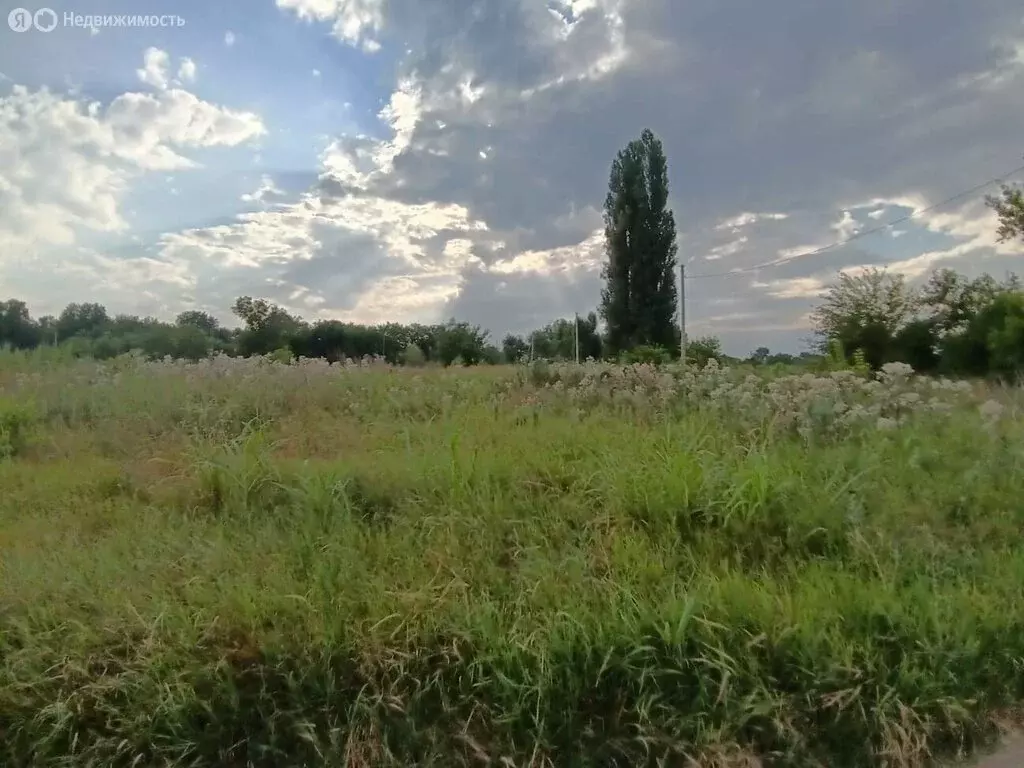 Участок в Майский, улица 9 Мая, 312А (95 м) - Фото 2