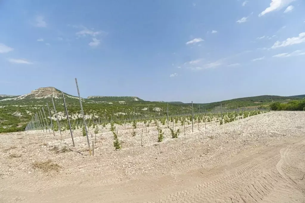 Производственное помещение в Крым, Бахчисарайский район, ... - Фото 2