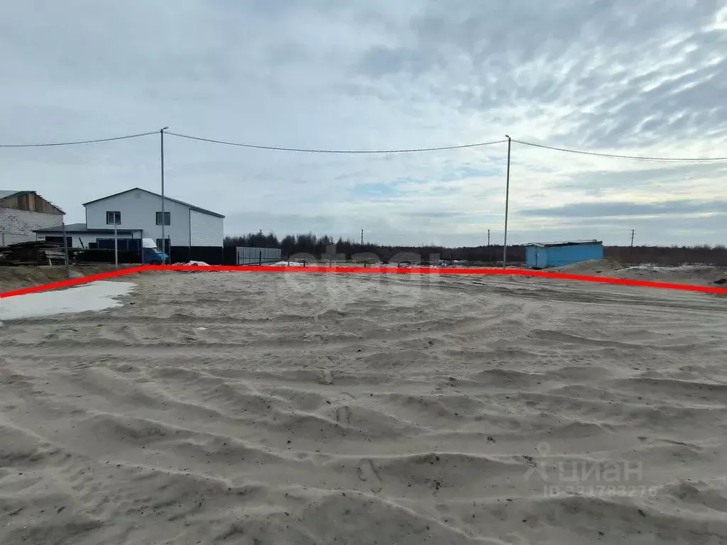 Участок в Ямало-Ненецкий АО, Тарко-Сале Пуровский район, ул. Озерная ... - Фото 1