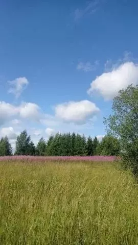 Участок в Вологодская область, Череповецкий район, Воскресенское ... - Фото 0