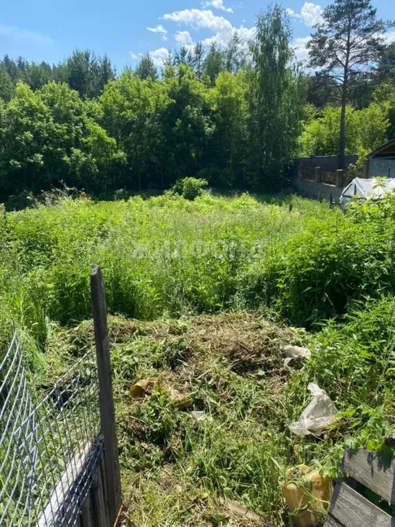 Дом в Новосибирская область, Новосибирск пос. 2-й Жилой поселок ... - Фото 0