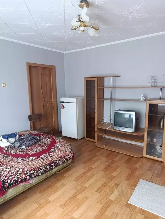 Комната Красноярский край, Красноярск ул. Петрушина, 1 (19.0 м) - Фото 2