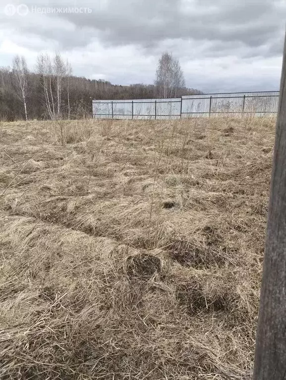 Участок в Красноярский край, Сосновоборский муниципальный округ, ... - Фото 2