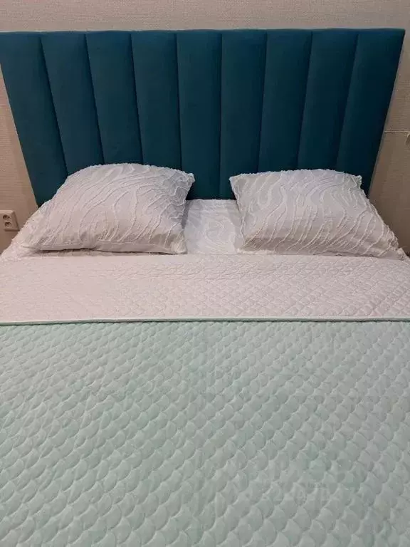 Студия Алтайский край, Барнаул просп. Строителей, 18 (20.0 м) - Фото 2