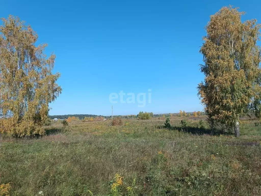 Участок в Алтайский край, Бийский район, Зверовод СДТ ул. Молодежная ... - Фото 0