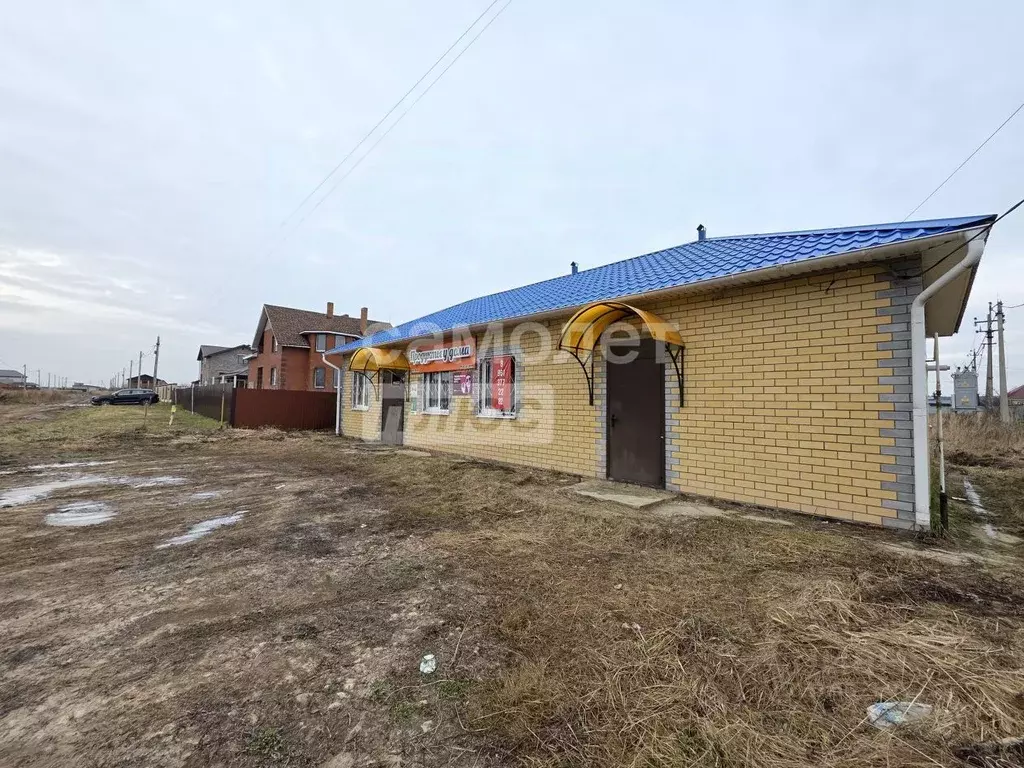 Помещение свободного назначения в Марий Эл, Медведевский район, ... - Фото 2