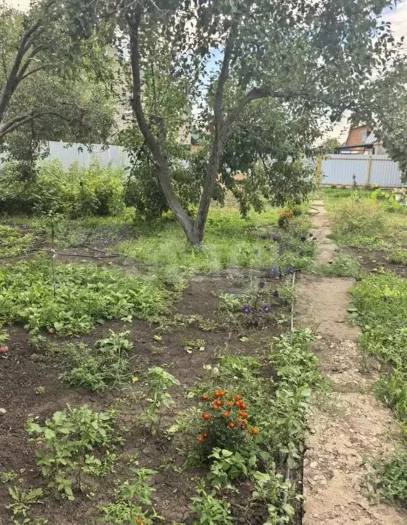 Дом в Саратовская область, Энгельс муниципальное образование, Фрегат ... - Фото 0