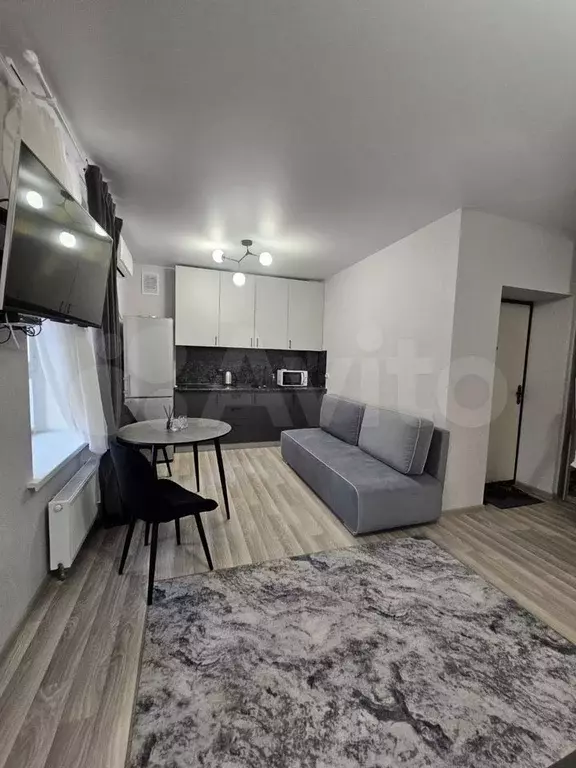 Квартира-студия, 26,8 м, 9/9 эт. - Фото 0
