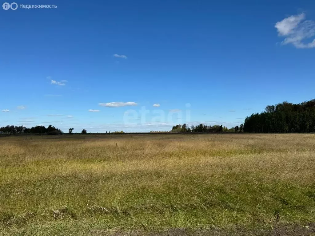 Участок в Челябинская область, Нязепетровский муниципальный округ, ... - Фото 1