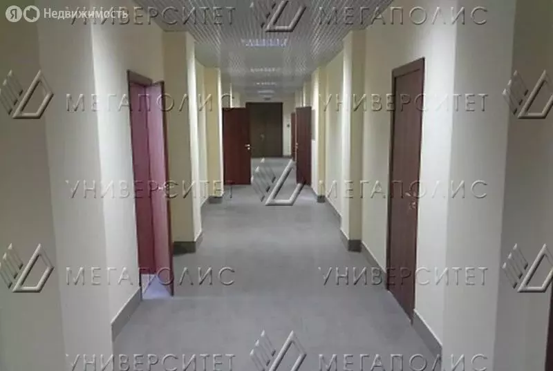 Офис (387 м) - Фото 2