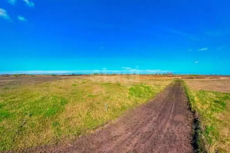 Участок в Ставропольский край, Шпаковский муниципальный округ, с. ... - Фото 1