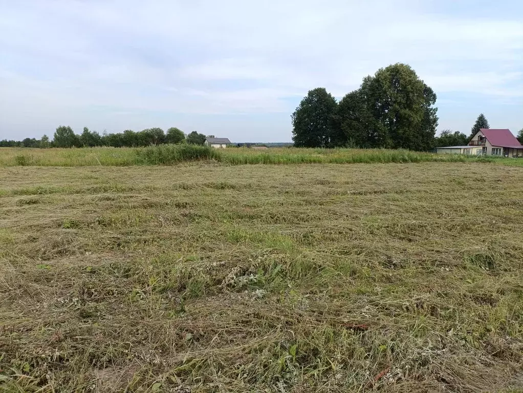 Участок в Калужская область, Жуковский район, Тарутино с/пос, д. ... - Фото 2