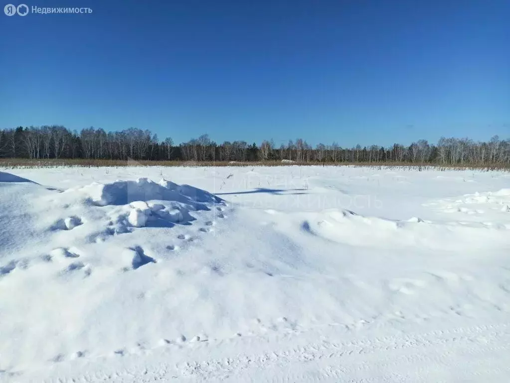 Участок в Тюменский район, деревня Коняшина (11 м) - Фото 0