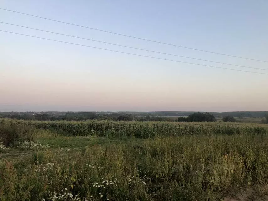 Участок в Владимирская область, Александровский район, Андреевское ... - Фото 0