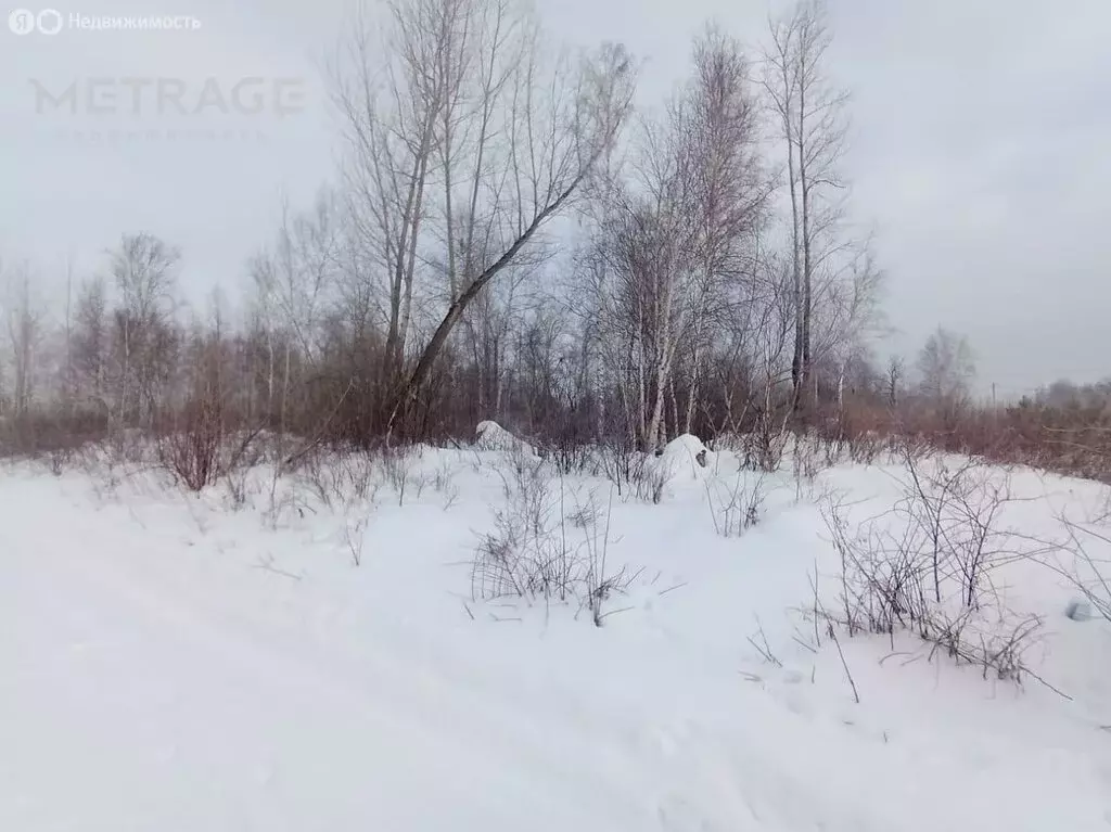 Участок в Кубовинский сельсовет, ДНП Содружество (1005 м) - Фото 1