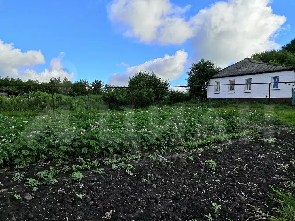 Купить Дом В Курской Области Обоянский Район