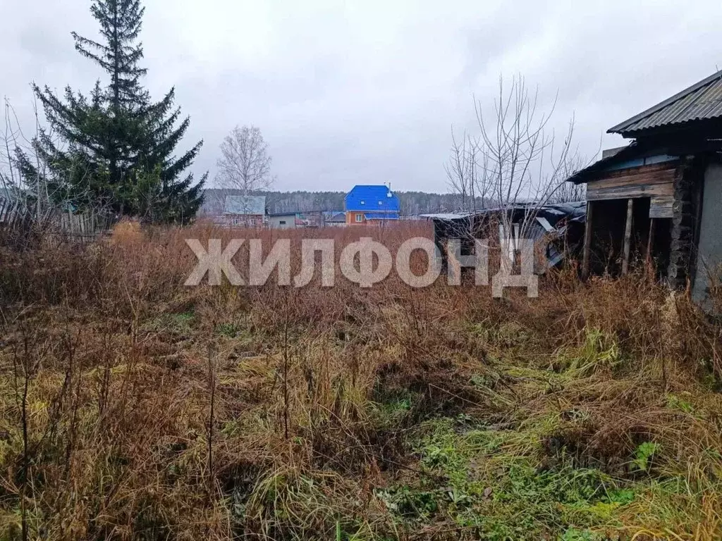 Участок в Новосибирская область, Новосибирский район, с. Барышево ул. ... - Фото 1