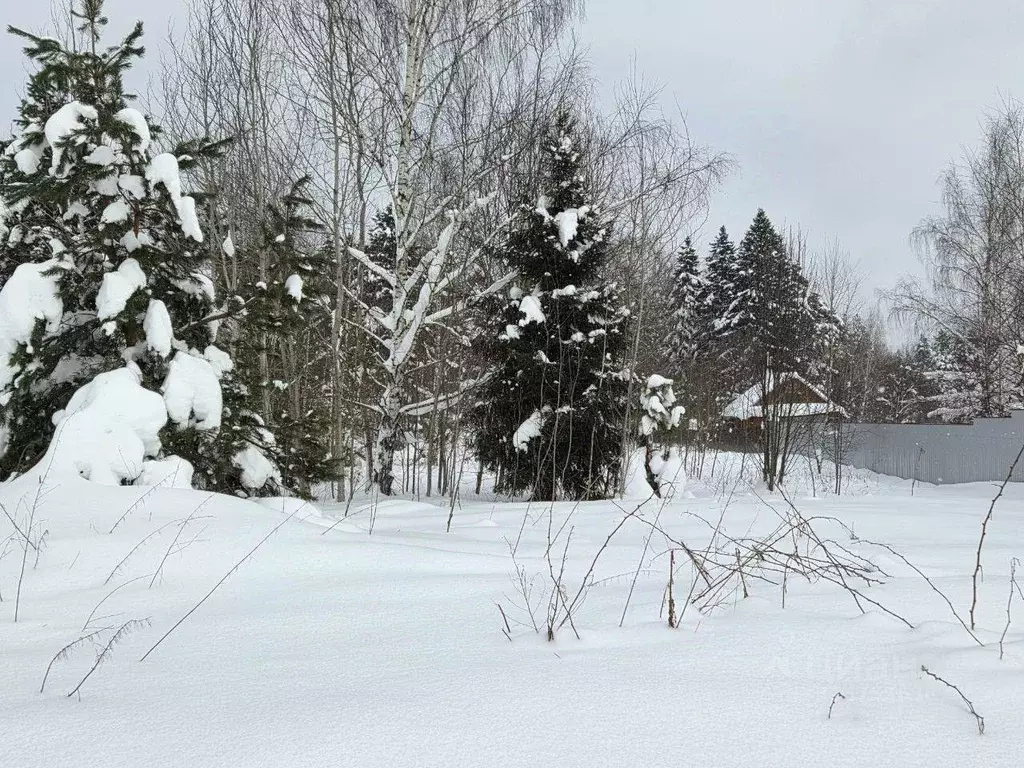 Участок в Московская область, Сергиево-Посадский городской округ, д. ... - Фото 1