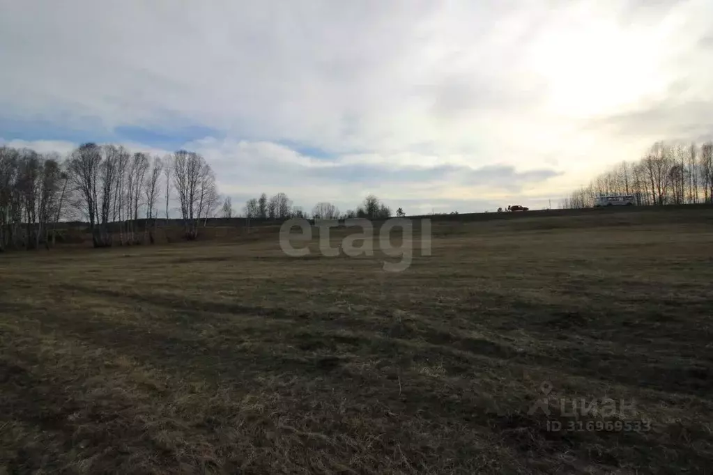 Участок в Красноярский край, Емельяново городское поселение, Зимницы ... - Фото 1