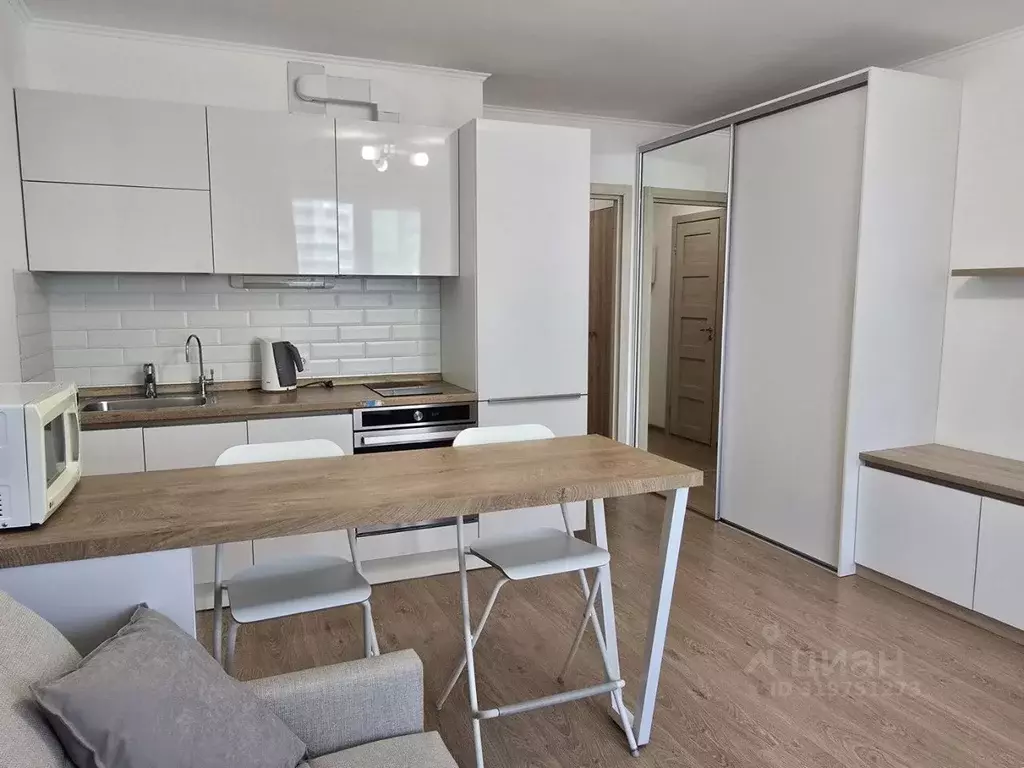 Студия Санкт-Петербург просп. Энергетиков, 11к2 (25.5 м) - Фото 0