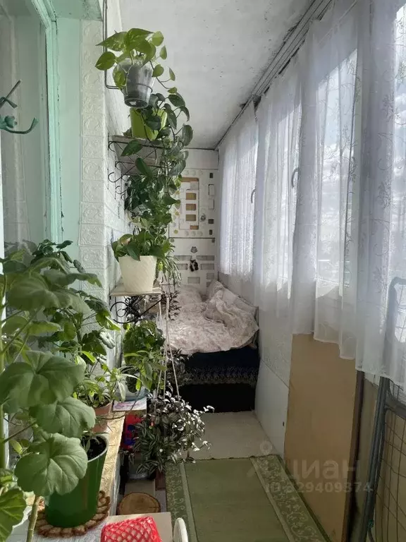 1-к кв. Саратовская область, Энгельс ул. Максима Горького, 2 (33.0 м) - Фото 1