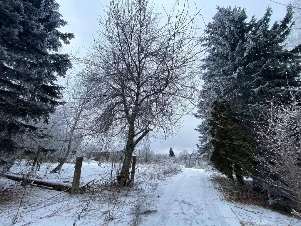 Участок в Московская область, Сергиево-Посадский городской округ, д. ... - Фото 1