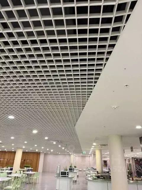 Помещение свободного назначения в Москва Киевское шоссе, 22-й км, 6с1 ... - Фото 2