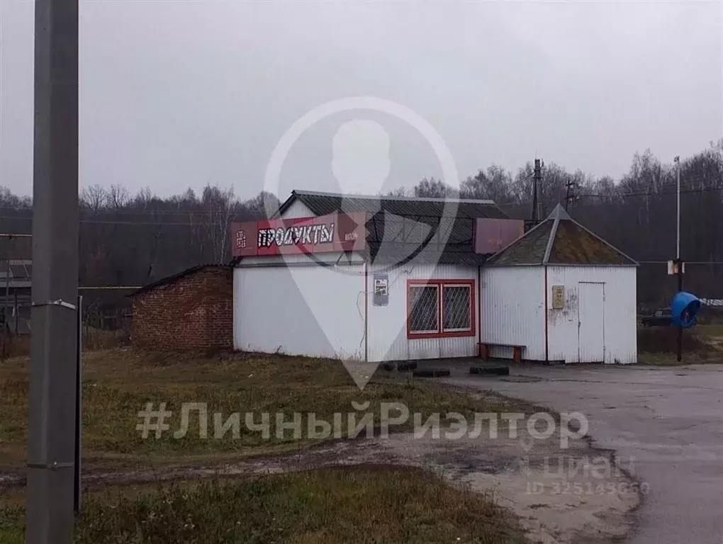 Торговая площадь в Рязанская область, Кораблинский муниципальный ... - Фото 1
