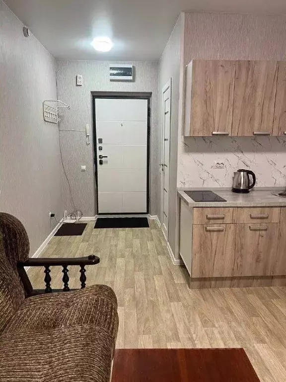 Студия Новосибирская область, Новосибирский район, Станционный ... - Фото 2