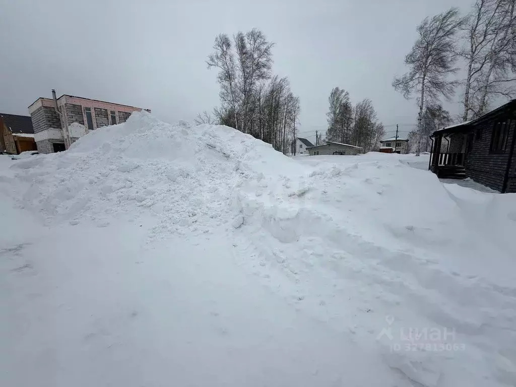 Участок в Новосибирская область, Новосибирский район, Каменский ... - Фото 1