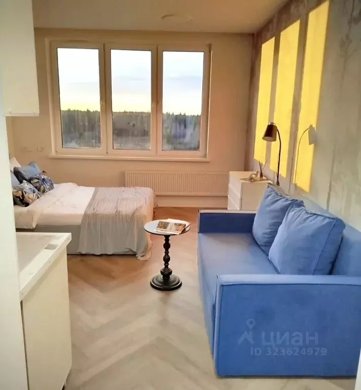 Студия Московская область, Химки городской округ, д. Рузино, ... - Фото 2