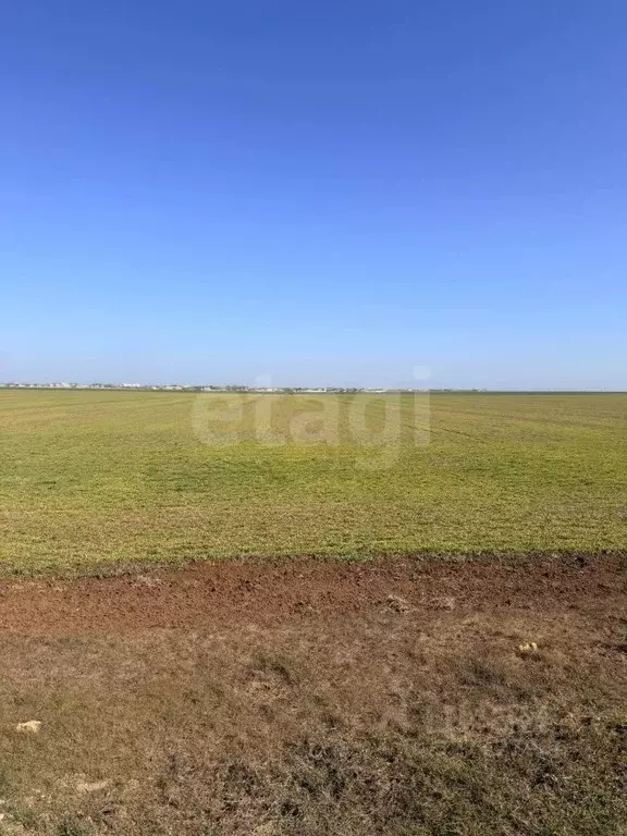Участок в Крым, Сакский район, с. Молочное  (581.21 сот.) - Фото 1