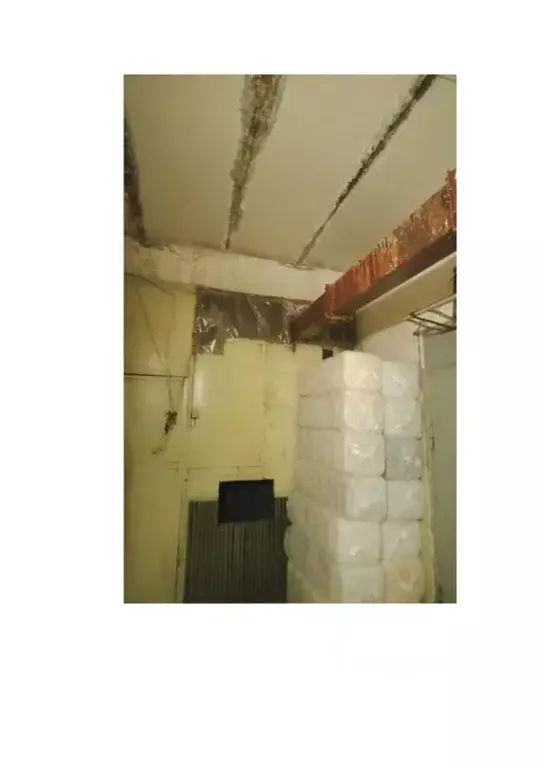 Помещение свободного назначения в Новосибирская область, Новосибирский ... - Фото 1